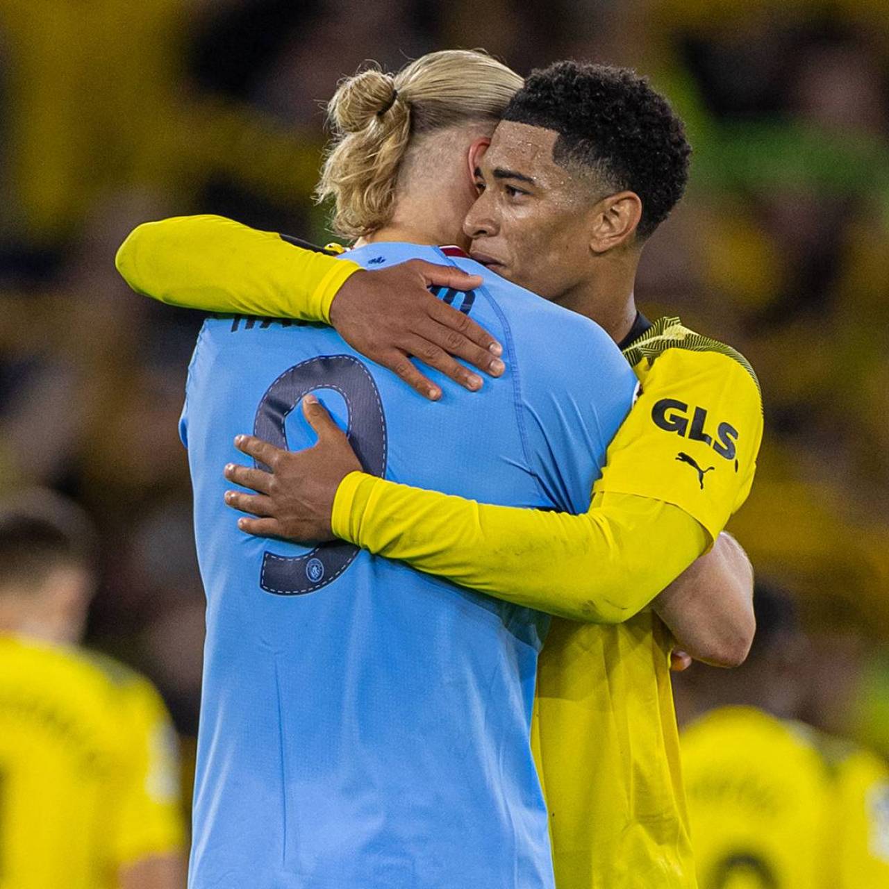 速度的回归 速度的回归